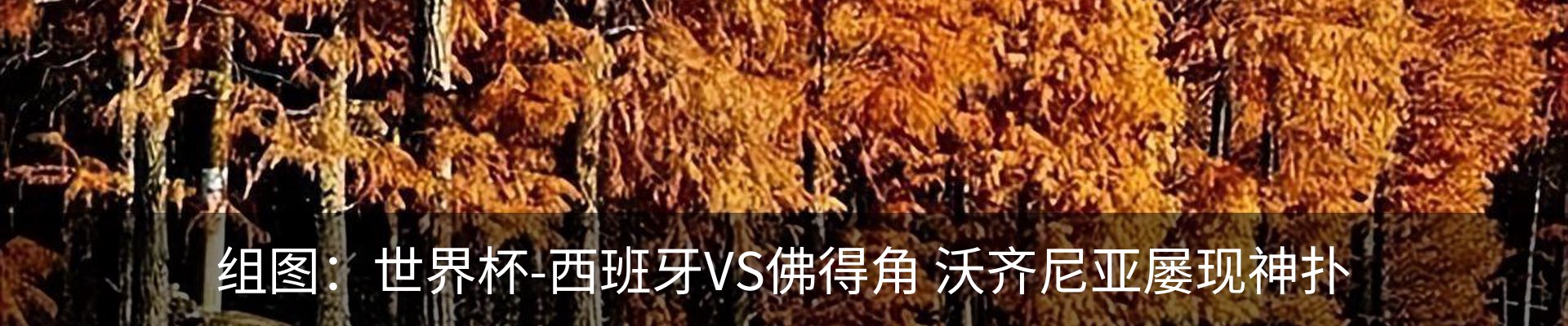 资讯中心